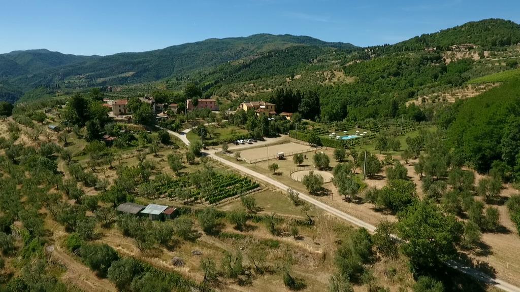 Villa Podere Il Poggiolo Rufina Exterior foto